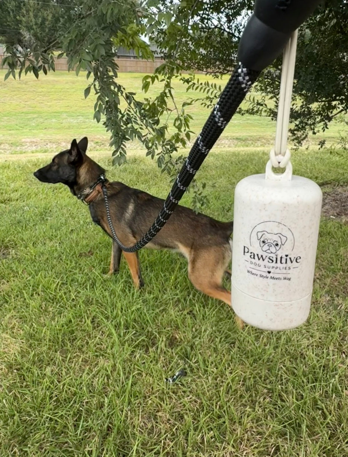 Pawsitive Dog Waste Bag Dispenser